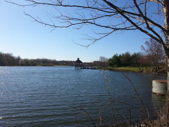 Lake Artemesia