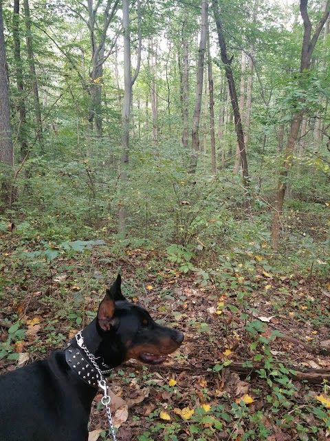 Rosaryville State Park