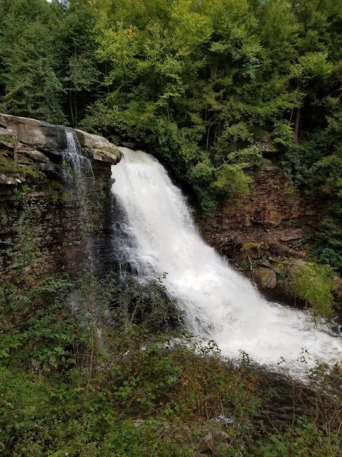 Swallow Falls State Park