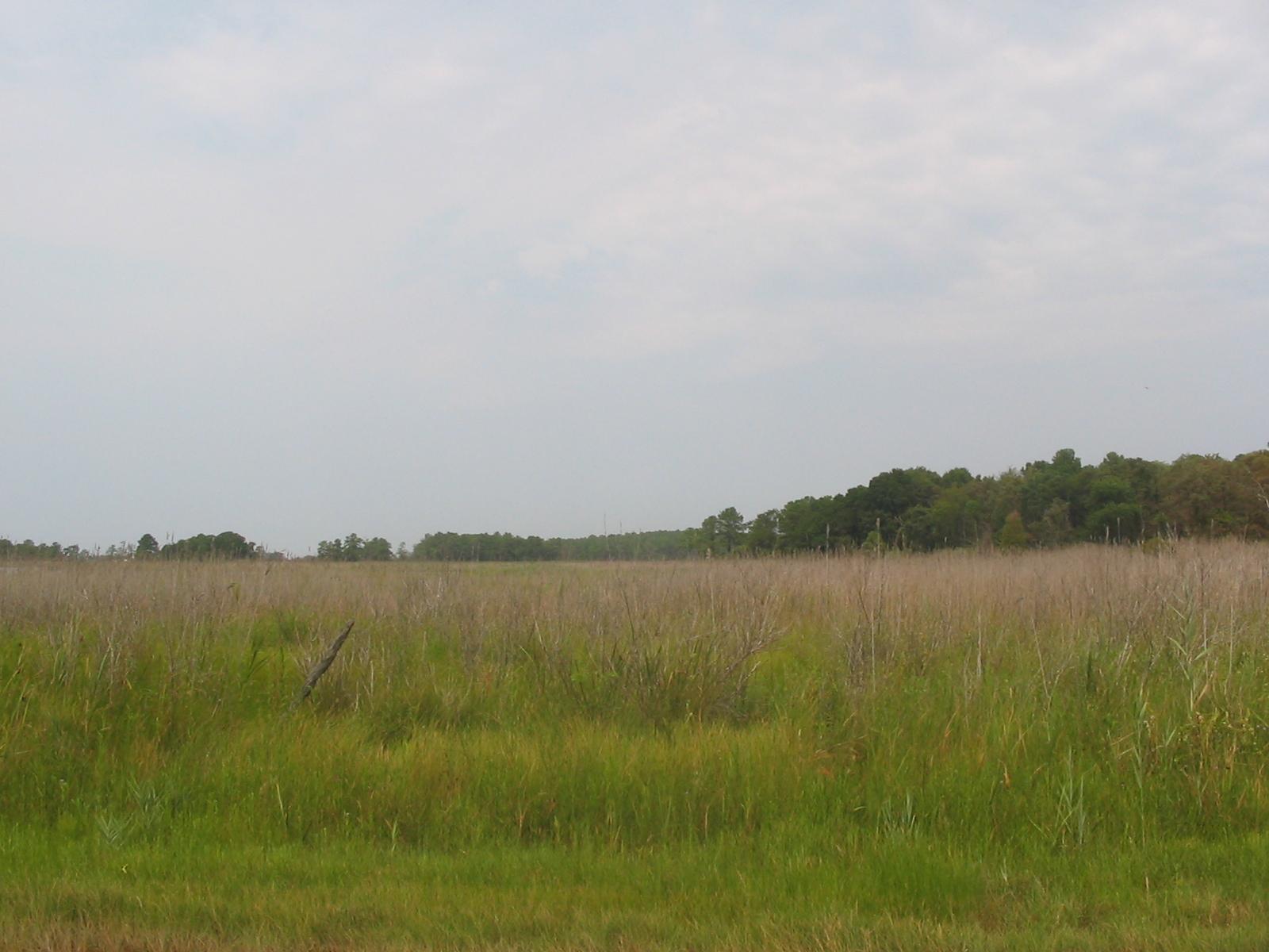 Kent Island