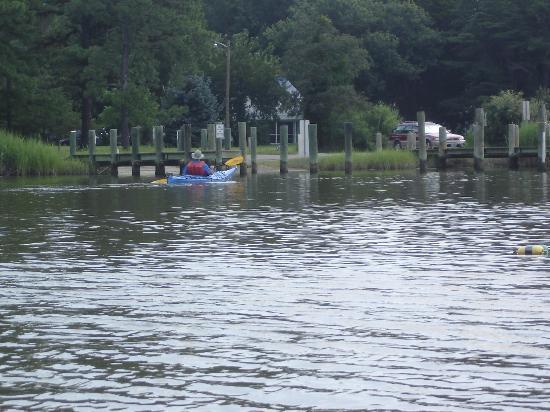 Chester River Kayak Adventures