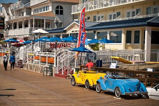 Dandy Don's Bike Rentals