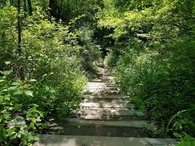 Gunpowder Falls State Park