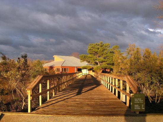 Adkins Arboretum